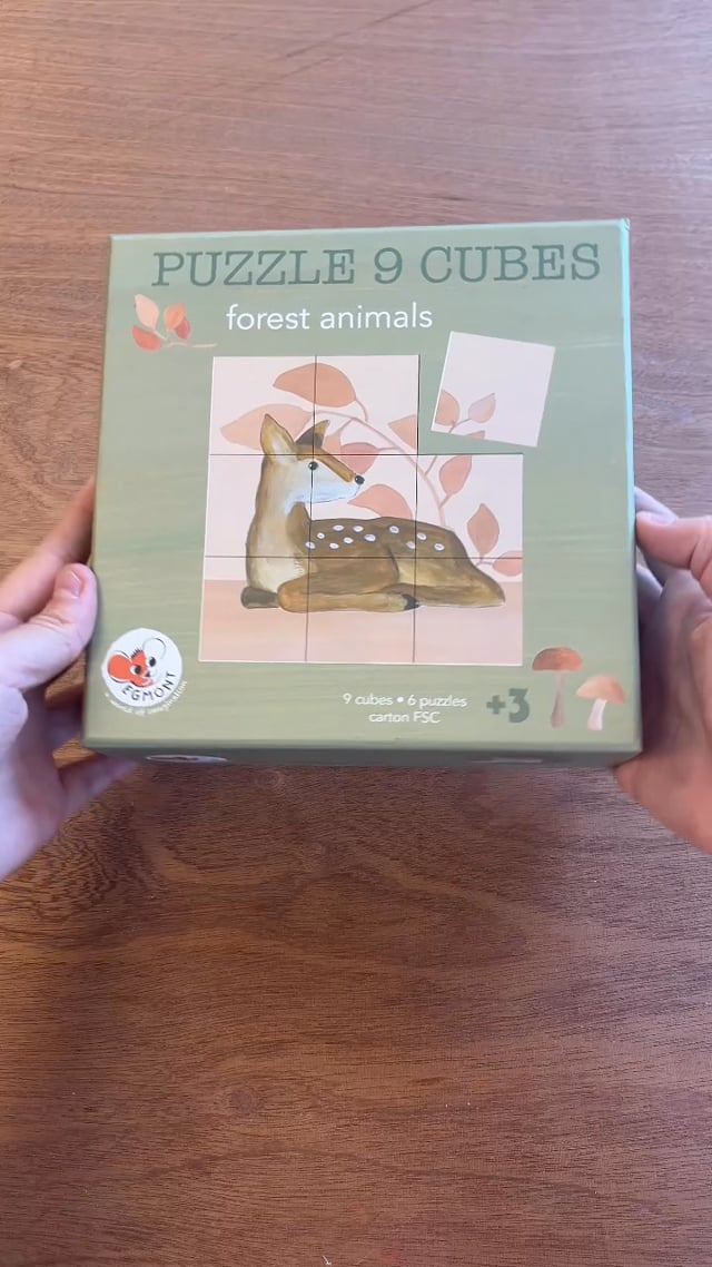PUZZLE CUBES 9 PC FOREST