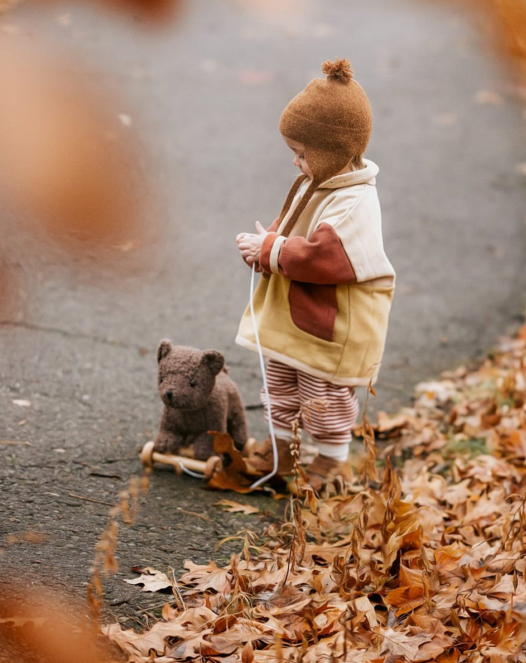 A toddler walks Raoul the pull-along bear through autumn leaves